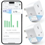 Andizun Smart Plug with Energy Monitoring & Electricity Bill Calculation, 13A 2.4GHz WiFi plugs Works with Alexa & G oogle Home, Voice & Remote Control, Timer & Schedule Function, 2 Pack