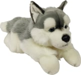 Dubi Husky Husky Hund Maskot Liggande Stor Plysch 61Cm Mjuk Teddybjörn Kramar