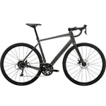 Trek Domane AL 2 4e gèn Gris