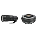 Nikon 200 - 500 mm Lens + TC-14E III AF-S Teleconverter