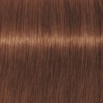 Schwarzkopf Professional Igora Vibrance Kit 5-67 Light Brown Chocolate Copper