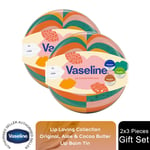 Vaseline Lip Loving Collection 3 Pieces Lip Balm Tin Gift Set for Her