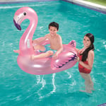 Flytleksak Planet Pool Flamingo