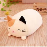 Aprikos Katt Mjuk Squishy Chubby Cartoon Kudde 60CM