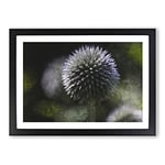 Big Box Art Thistle Flower Vol.4 Painting Framed Wall Art Picture Print Ready to Hang, Black A2 (62 x 45 cm)