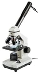 MICROSCOPE BRESSER BIOLUX NV