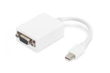 Digitus Mini DP - HD15, 0.15 m 0,15 m Mini DisplayPort VGA (D-Sub) Vit