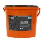 Foran Equi-Lyte G Electrolyte Supplement for Horses 10kg