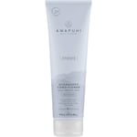 Paul Mitchell Awapuhi Wild Ginger HydraSoft Conditioner 250ml