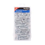 BlueSpot 300 Pce Assorted Nut, Bolt And Washer Set Storage Case