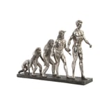 Decorative Figure DKD Home Decor Origin of Species Silver Chromed 55 x 18 x 4