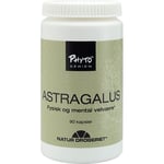 Natur Drogeriet Astragalus - 90 Kapslar