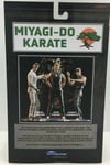 Official Cobra Kai Series 1 John Kreese Deluxe 7" Action Figure 