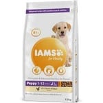 IAMS Advanced Nutrition Puppy Junior Large Breed, nuorille isokokoisille koirille kanoilla, 12 kg