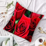 Pillow Case Sofa Car Waist Decorative Cushion Cover Fashion