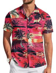 TARAINYA Funky Chemise Hawaienne Homme à Manches Courtes ete Aloha Palmier Flamingos Floral Feuille de Palmier