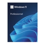 Microsoft Windows 11 Professionnel 64 bits (clé USB)