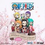 PRECOMMANDE - One Piece présentoir Blind Box Hidden Dissectibles Series 5 (Ladie