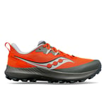 Chaussures Hommes Saucony Trail Running Peregrine 14