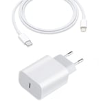 iPhone Snabbladdare – 20W PD Adapter + 1 Meter Lightning Kabel