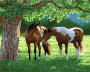 Generic Brands Paint By Numbers Kits, Horse Under The Tree Diy Acrylic Oil Painting For Kids & Adults & Beginner ,16 X 20 Inch Canvas - Without Frame