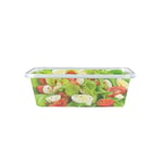 10 x Plastic 500ml Takeaway Food Containers with Lids Microwave Freezer Safe