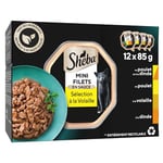 Sheba Mini Filets - Barquettes pour chat adulte, Coffret à la volaille en sauce, 6x12x85g (L'emballage peut varier)