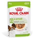 Royal Canin X-Small Adult i sås - 48 x 85 g