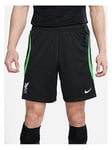 Nike Liverpool Mens 23/24 Strike Short - Grey