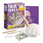 Sea Shell Craft Digging Kit Dig Out Make Your Own Bracelet Beautiful Shells Sea