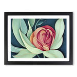 Miraculous Rose Flower H1022 Framed Print for Living Room Bedroom Home Office Décor, Wall Art Picture Ready to Hang, Black A2 Frame (64 x 46 cm)