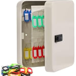 Gotrays - Armoire à clés Serrure à Combinaison Boîte de Sécurité Murale pour 48 Clés, pour Ranger Les clés à la Maison, au Bureau,Keybox Password