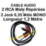 1 Câble 2 Jack 6,35 MONO Mâle vers 2 RCA Mâle Repérées par Couleur  Long 1,20M