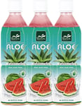 20 stk Tropical Aloe Vera Vannmelon Leskedrikk 500 ml - Hel Eske