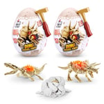 ROBO ALIVE Mini Dino Fossil Find (2 Pack, Mosasaur & Triceratops) by ZURU Boys 4-8 Dig and Discover, STEM, Excavate Prehistoric Fossils, Educational Toys, Great Science Kit Gift for Girls and Boy, Magma