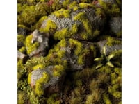 Gamers Grass Gamers Grass: Grass Tufts - 2 Mm - Moss Tufts (Wild)