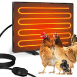 Chicken Coop Heater Safe Radiant Space Heat Energy Efficient Lamps Pet Heater