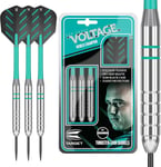 Target Darts Rob Cross Silver Voltage 24G Brass Steel Tip Darts Set