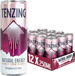 TENZING Natural Energy Drink, Plant Based, Vegan, & Gluten Free Drink, Raspberry