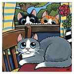 Peeping Toms Funny Cat Greeting Card Lisa Marie Robinson Humorous Cards Cats