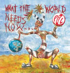 Public Image Ltd  What The World Needs Now...  LP/Vinyl