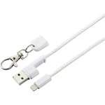 Renkforce Apple iPad/iPhone/iPod Câble de raccordement [1x USB 2.0 type A mâle - 1x Dock mâle Lightning] 0.95 m blanc