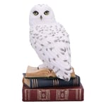 Nemesis Now Library of Wisdom Figurine 17cm, Resin, White, White Owl on Books Ornament, Fantasy Books Book Shelf Display Piece, Cast in the Finest Resin, Expertly Hand-Painted