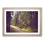 Big Box Art Landscape The Green Forest (3) Framed Wall Art Picture Print Ready to Hang, Oak A2 (62 x 45 cm)