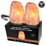 2X USB Natural Shape Himalayan Rock Pink Salt Lamp Ionizing Crystal Home Decor