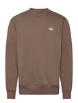 Dickies Summerdale Sweatshirt Brun