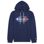 Champion Graphic Hoodie Herre