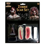 Halloween Gory Zombie Scar Face Make Up Kit & Fake Blood Spray Bottle 75ml Set