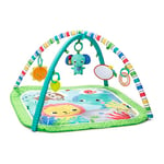 Bright Starts, Tapis d'veil et activits, Wild Wiggles, avec Taggies, nouveau-ns et plus - Vert, 47 x 74 X74 cm