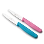 Lacor - 39082 - Couteaux de Cuisine Professionnels, Set Couteau Cuisine, Set 2 Pièces, Couteau d’Office, Dentelle Lisse et Dentelée, Acier Inoxydable, Série Etern, Lame de 9 cm, Bleu et Magenta